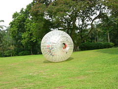 DSCN9715